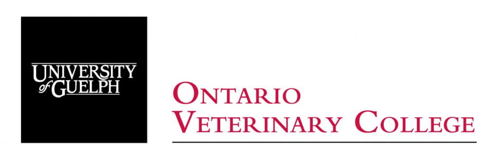 About the Chair – Veterinary Innovation